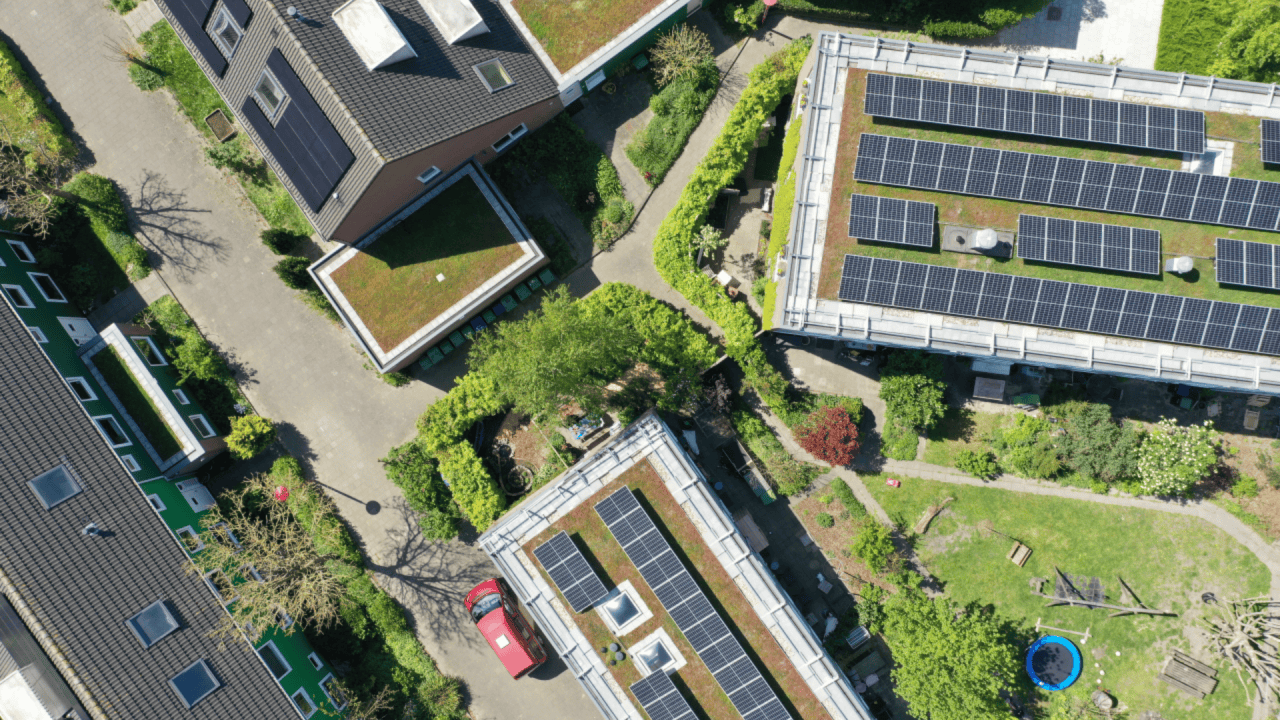 sedum and solar a great combination with the system of Sempergreen