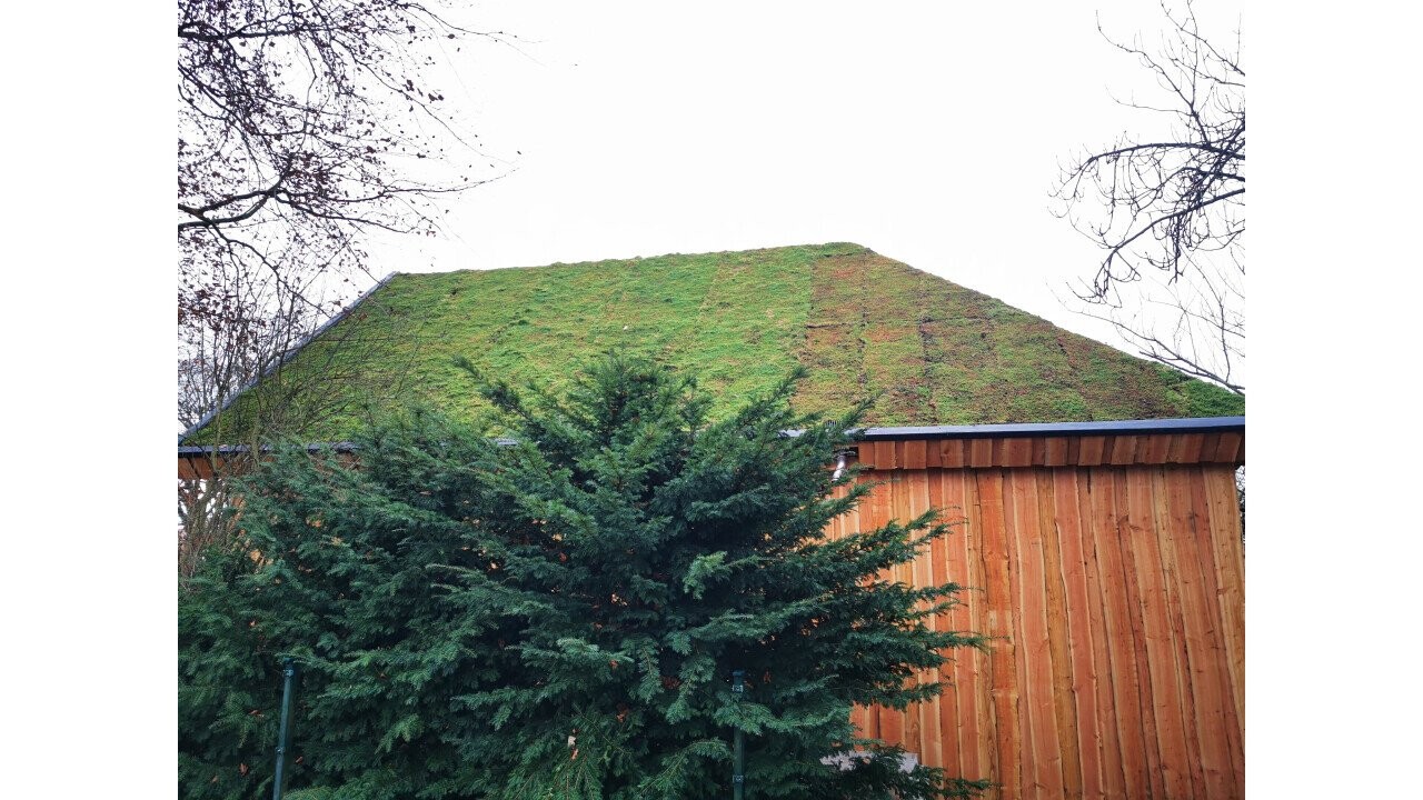 Green pitched roof