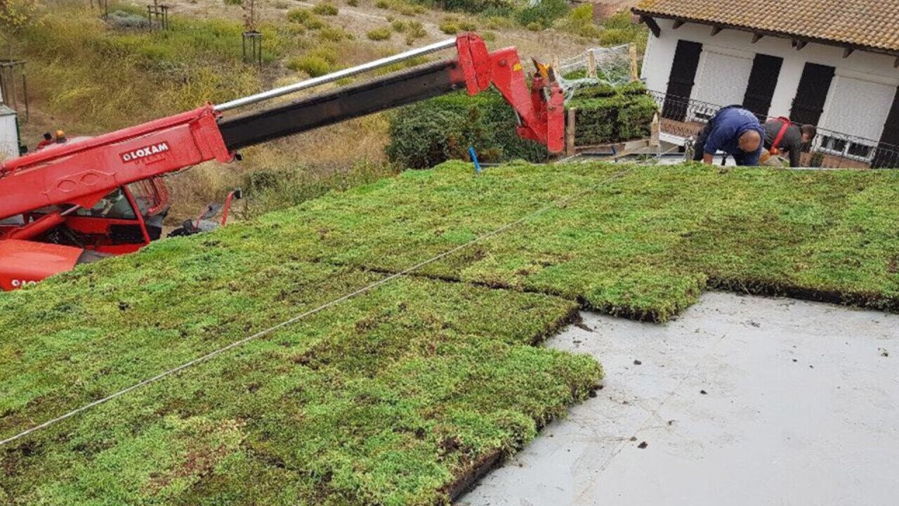 Already green: installation of sedum cassettes of Sempergreen