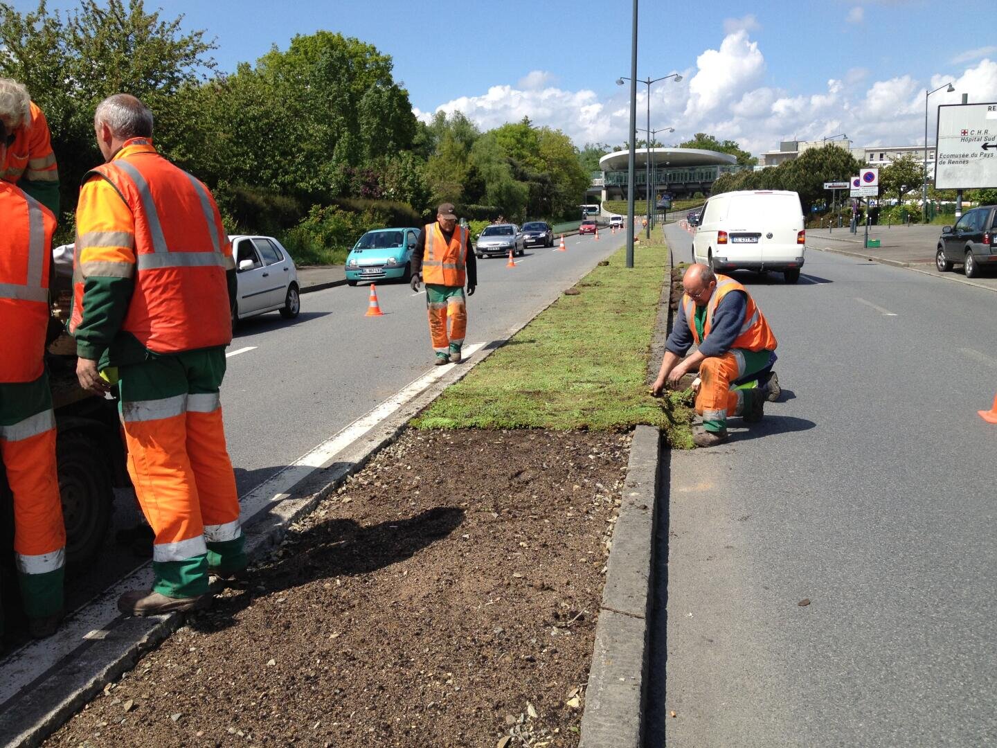 Arbeiter in orangefarbener Schutzkleidung verlegen Rasen auf einem grasbewachsenen Mittelstreifen zwischen den Fahrspuren einer viel befahrenen Straße. Autos fahren vorbei, und zur Sicherheit sind Leitkegel aufgestellt. Im Hintergrund sind Bäume und Gebäude zu sehen.