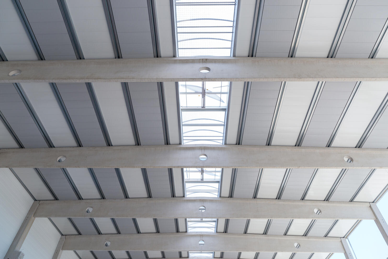 The picture shows the interior ceiling of an industrial building or warehouse with visible concrete beams and metal panels with skylights that let in natural light. The perspective is directly upwards.