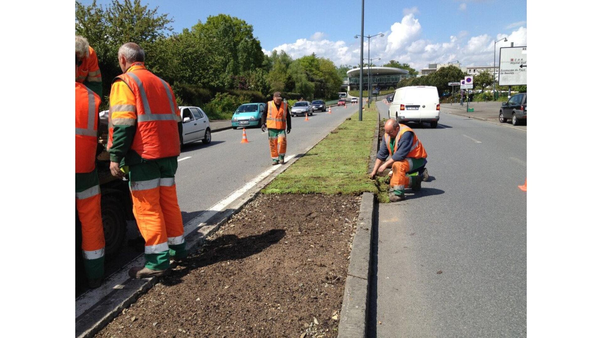 Several workers in orange safety gear are laying sod on a grassy median strip on a busy urban road, while cars pass by. A white van and cones are visible in the background under a partly cloudy sky.