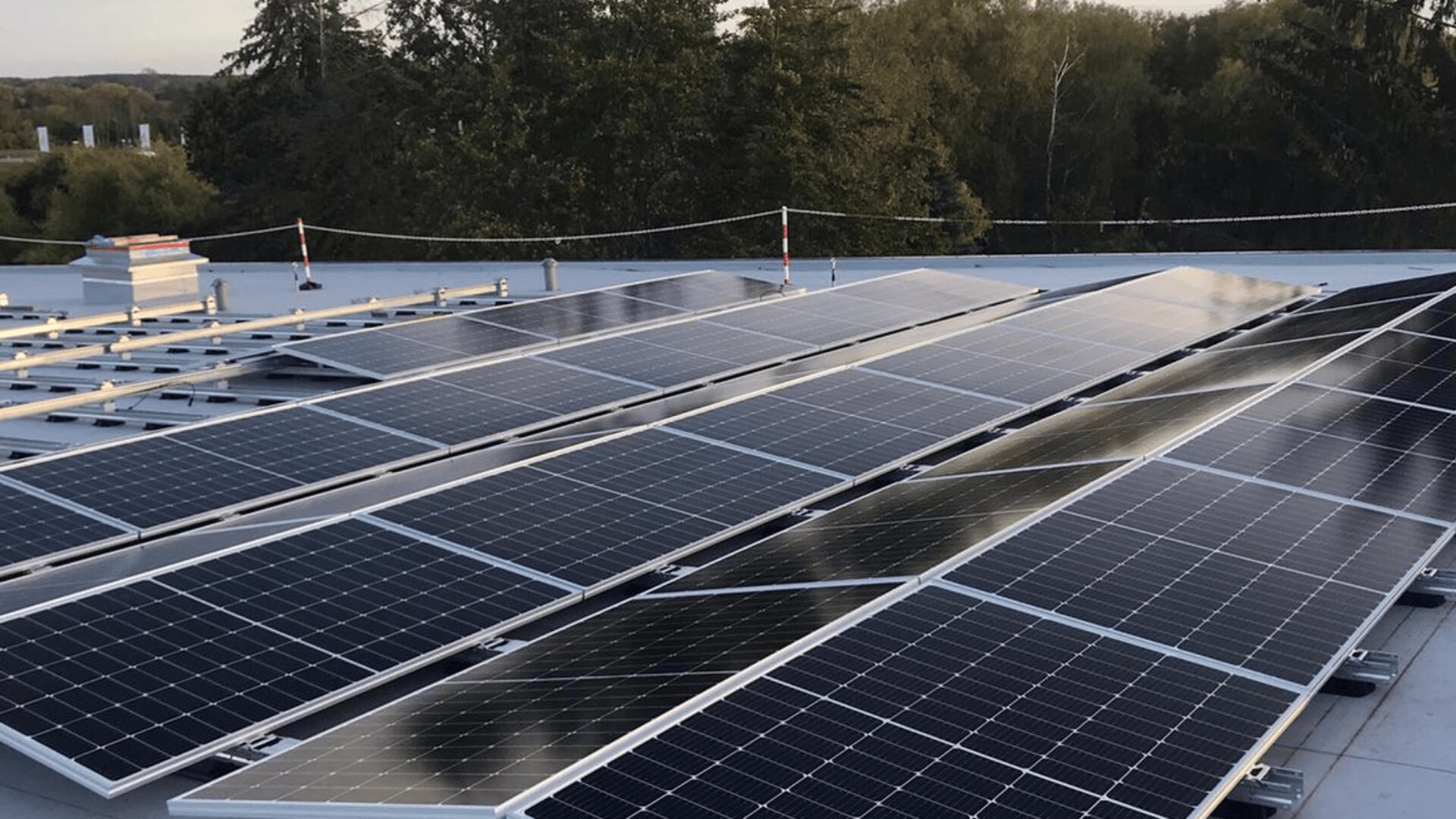 Reihen von Solarmodulen auf einem Flachdach, umgeben von Bäumen und Grün im Hintergrund, unter klarem Himmel.