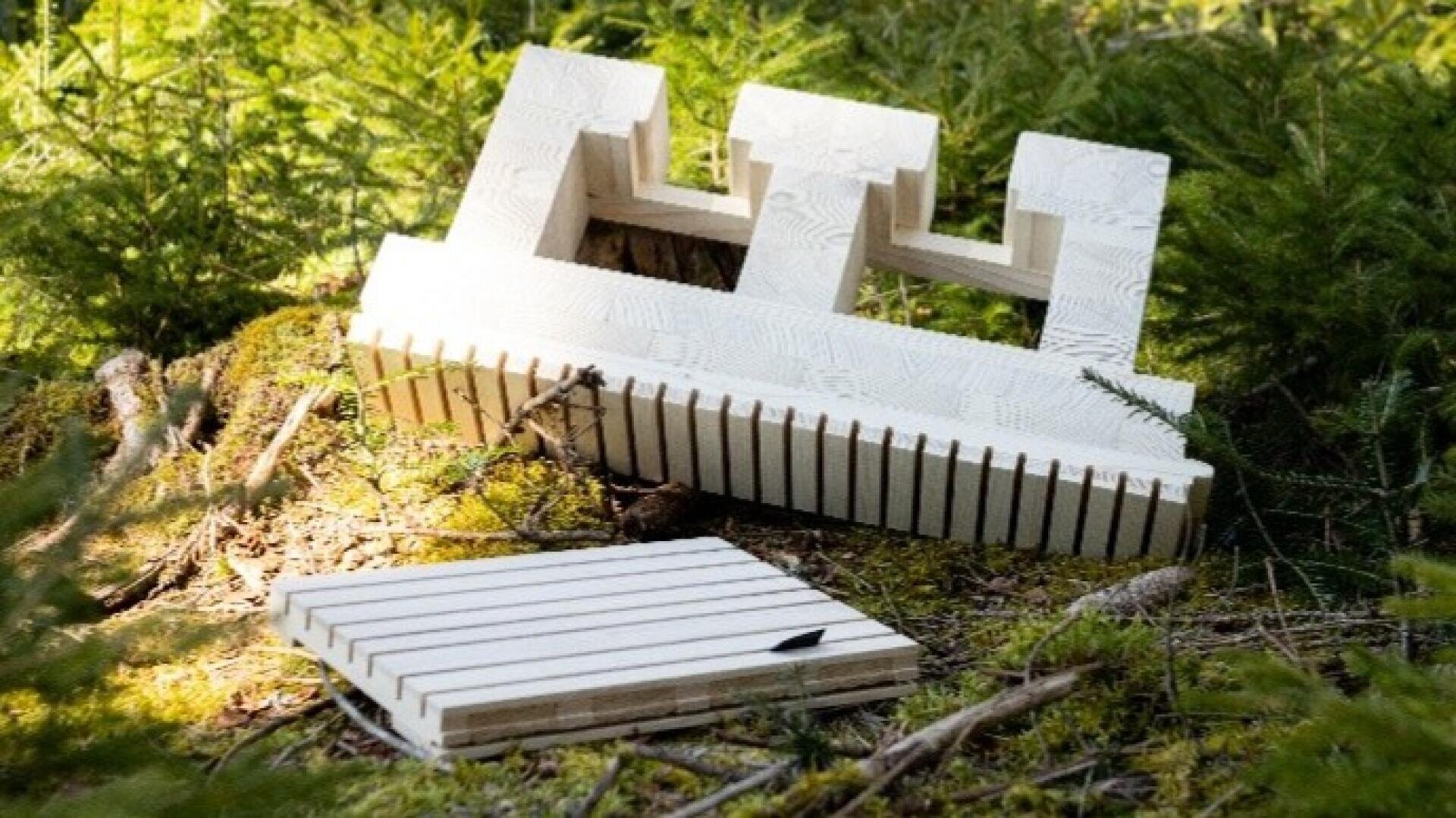 Ein hölzerner Bienenstock mit Lamellen liegt zerlegt auf moosbewachsenem Boden in einem Wald, umgeben von grünen Farnen und Pflanzen im natürlichen Sonnenlicht.