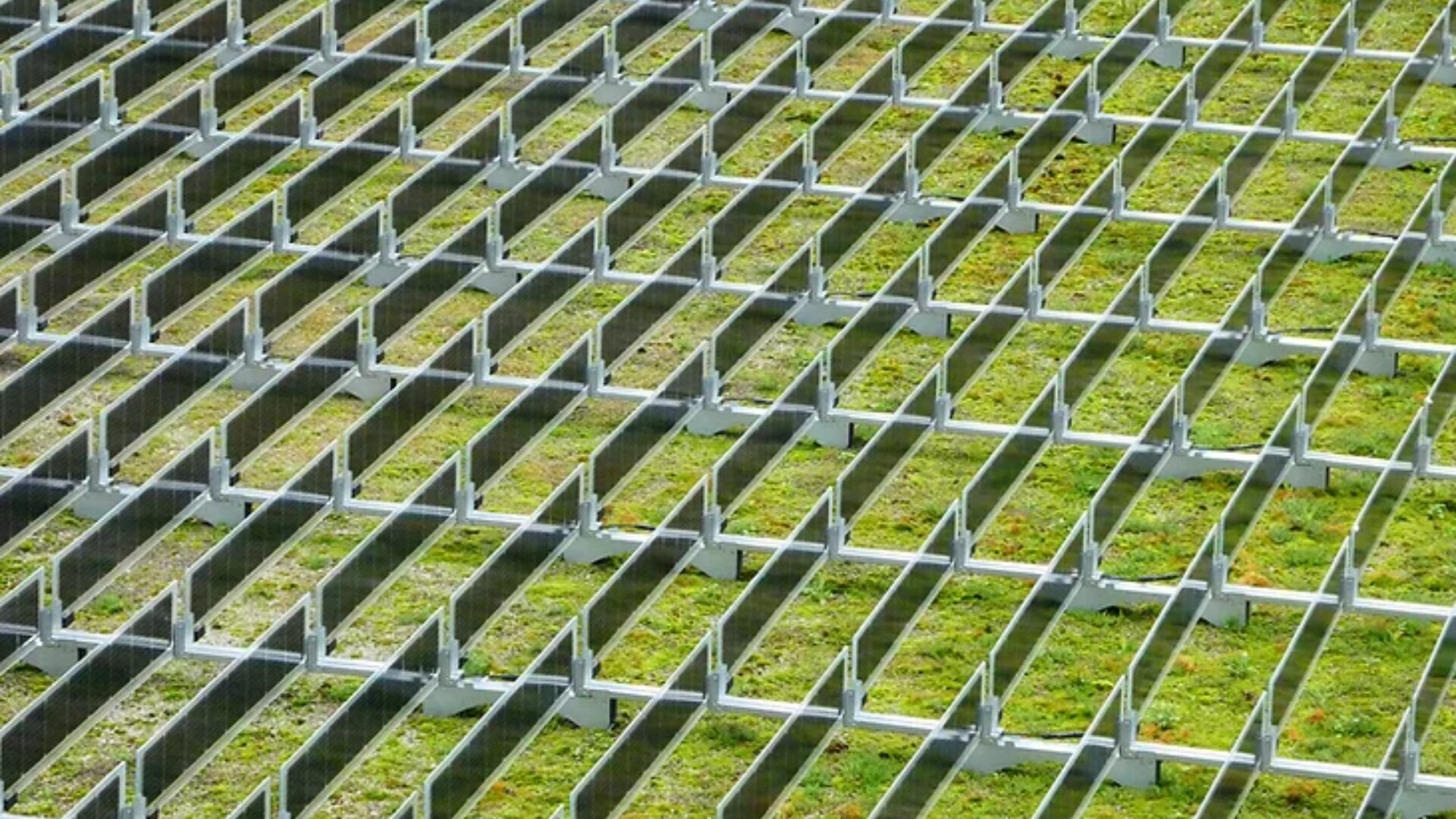 A grid of metal bars forms a geometric pattern over a surface covered with green grass or moss, creating a contrast between the rigid structure and the natural plant growth beneath.