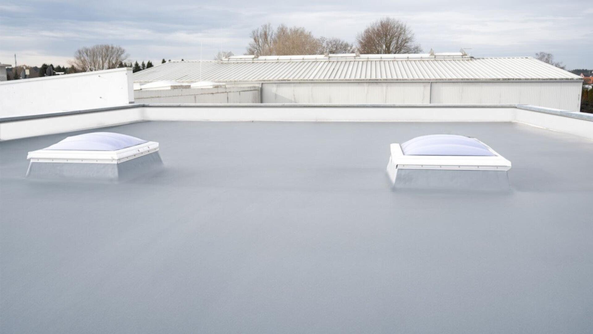 A flat, gray rooftop with two rectangular skylights and white walls. There are trees and a building with a metal roof in the background under a cloudy sky.