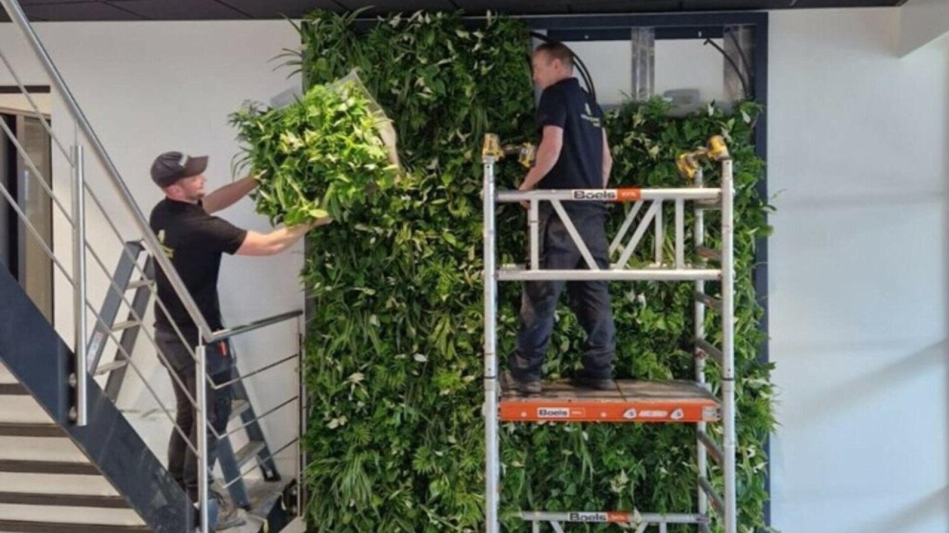 Two workers on scaffolding install green plants on a vertical indoor wall next to a staircase, creating a living wall feature in a modern building.