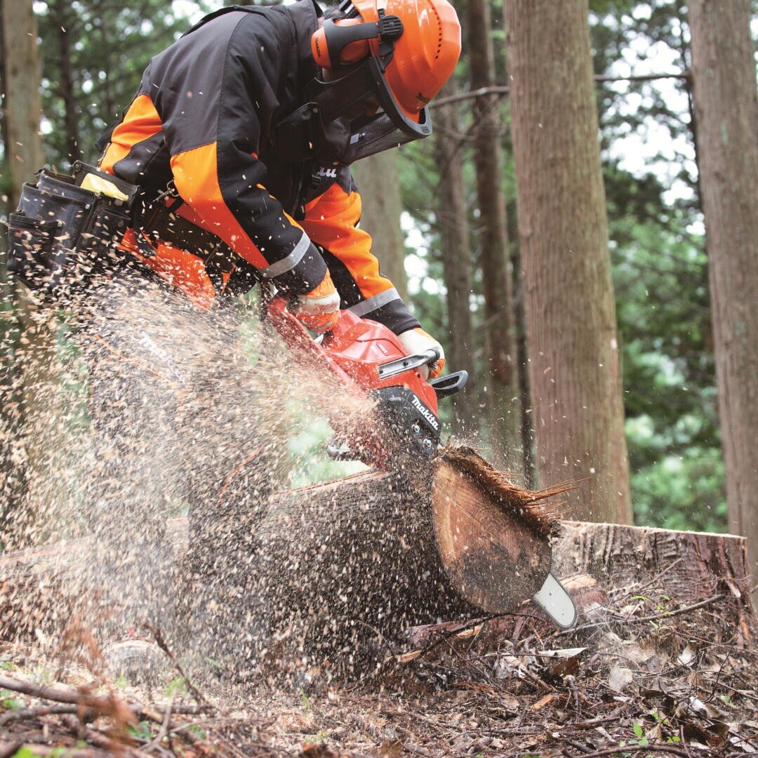 Eine Person mit Schutzausrüstung sägt mit einer Kettensäge einen Baumstamm durch, wobei Holzspäne und Sägemehl in einem Waldgebiet umherfliegen.
