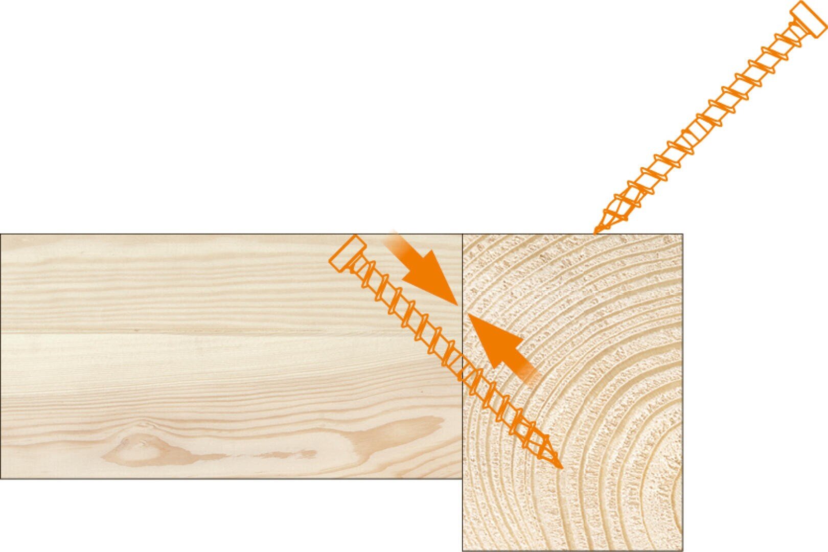 Zwei orangefarbene Pfeile und Schrauben zeigen an, wie Schrauben in einem Winkel in die Hirnholzfaser eines Holzbretts eingeführt werden, um es mit der flachen Seite eines anderen Bretts zu verbinden, was eine Holzbearbeitungstechnik darstellt.