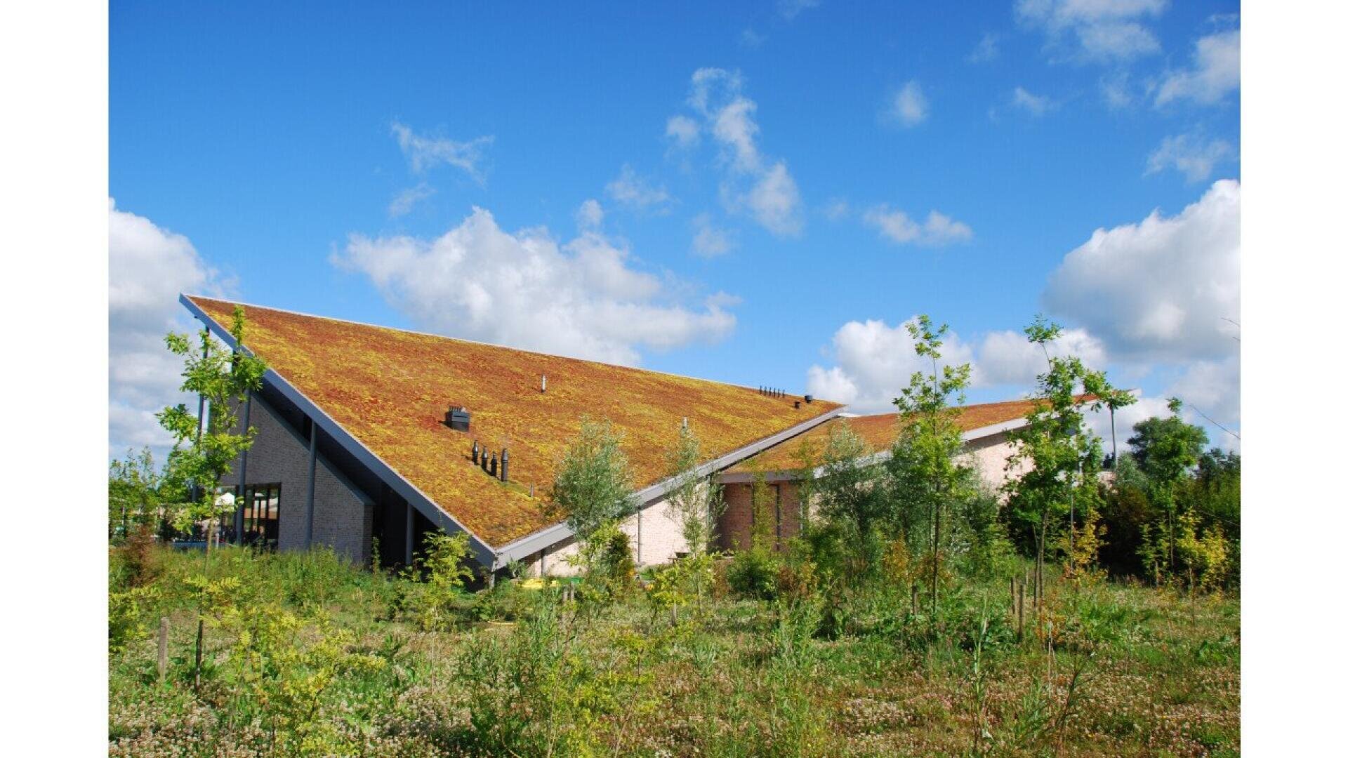 A modern building with a sharply sloped green roof covered in moss and grass, surrounded by wild vegetation and young trees under a bright blue sky with scattered clouds.