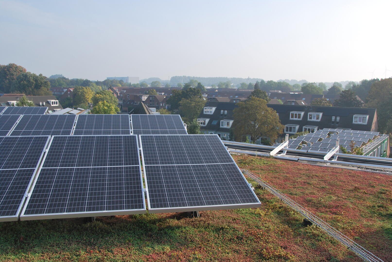 Auf einem grünen Dach installierte Solarmodule mit einem Wohnviertel und Bäumen im Hintergrund unter einem klaren Himmel.