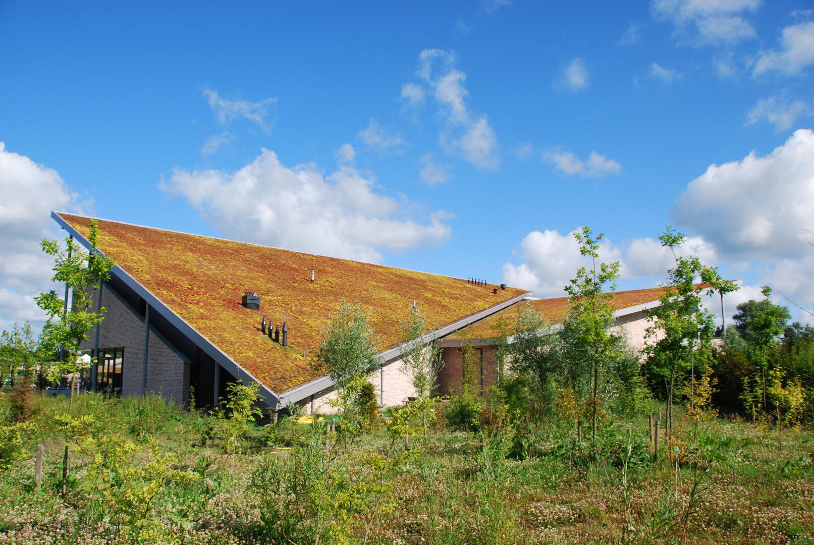 Ein modernes Gebäude mit einem steilen, dreieckigen, begrünten Dach, umgeben von jungen Bäumen und Gras unter einem blauen Himmel mit vereinzelten Wolken.