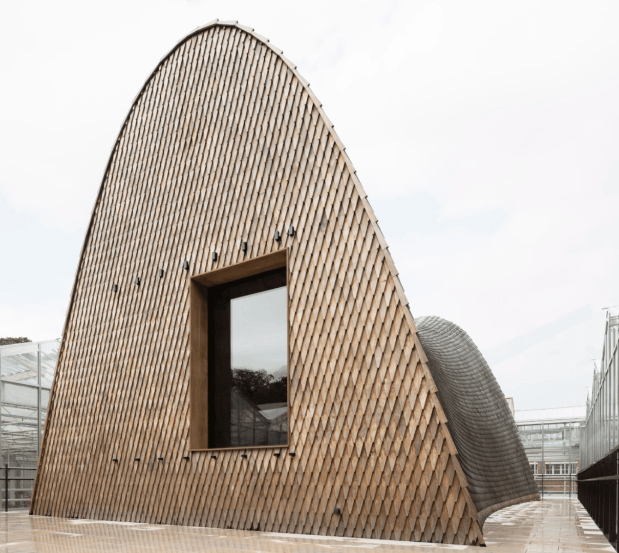 A modern building with a curved, arched shape covered with overlapping wooden shingles and a large rectangular window. The building stands on a light-colored ground next to buildings with glass walls.