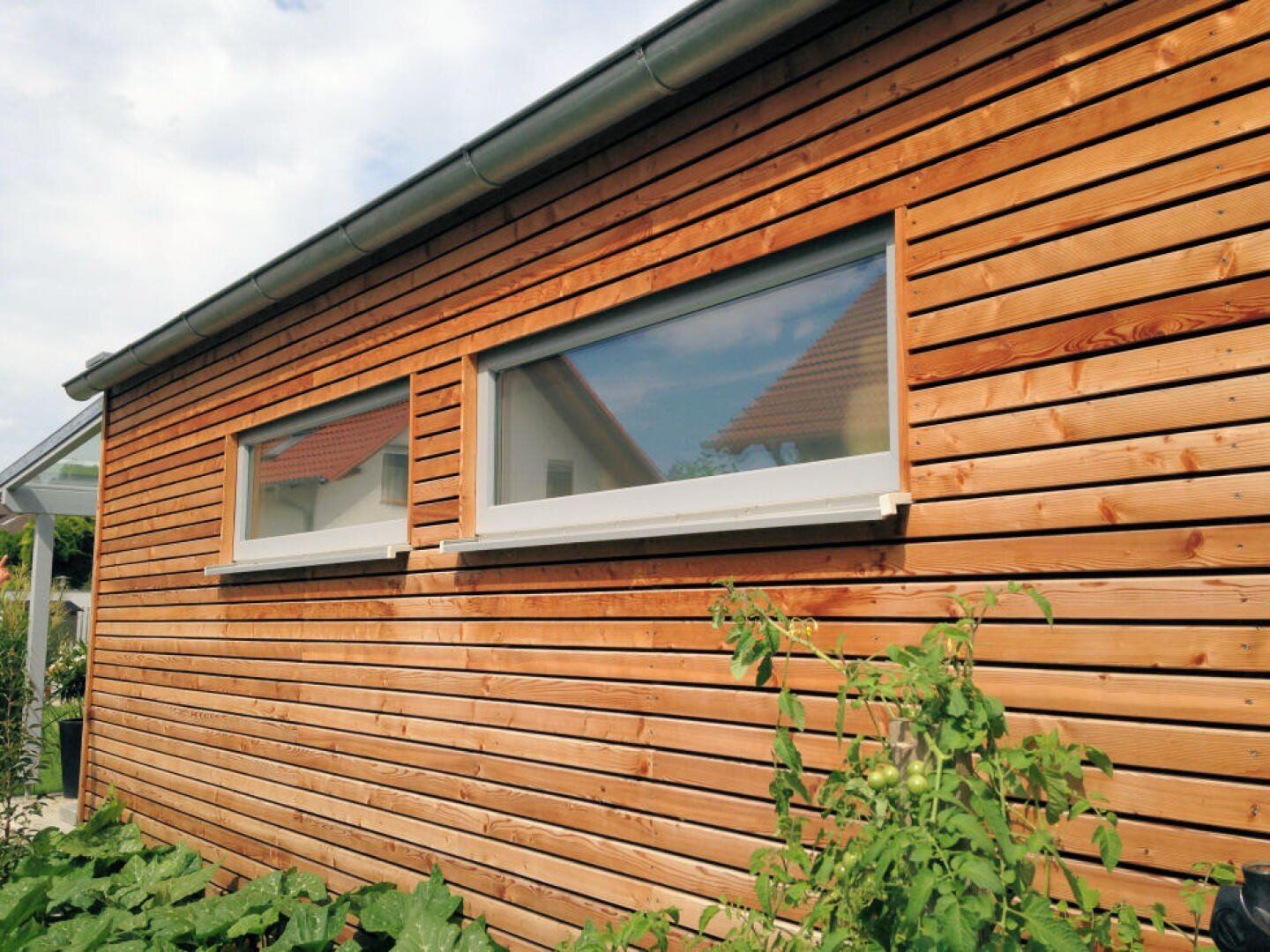 A wooden exterior wall of a building with two rectangular windows. Green plants grow in front of the wall, and reflections of another house with a red roof are visible in the windows.