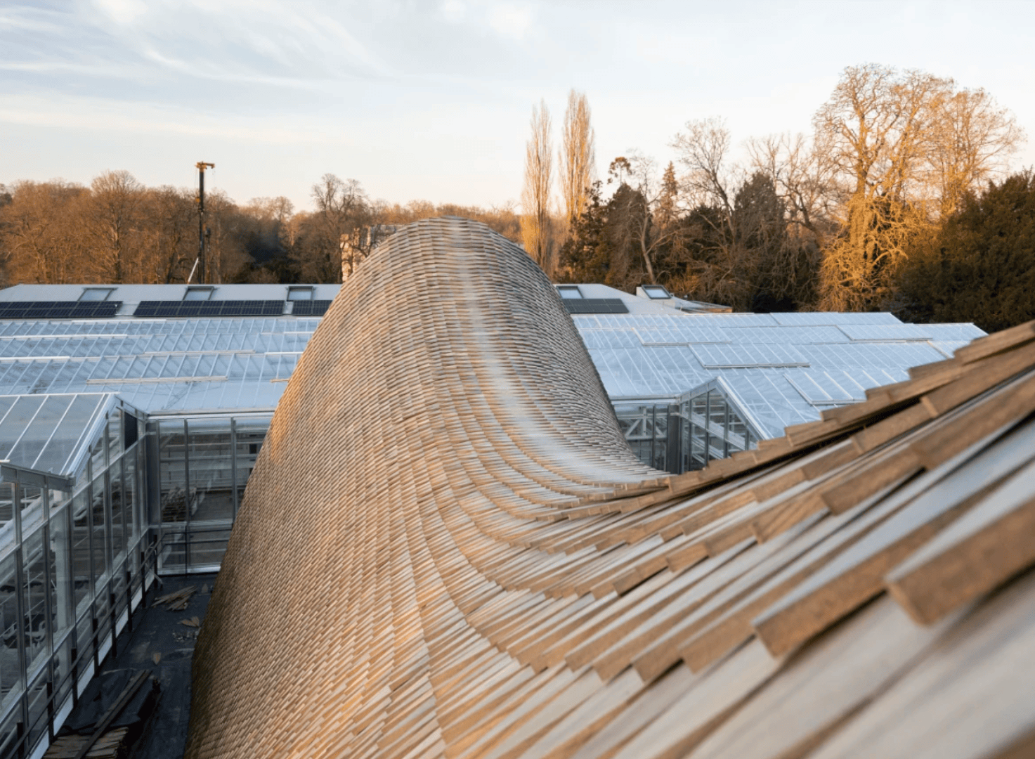 Curved wooden shingle roof in the foreground, with glass greenhouse structures and trees in the background under a clear sky at sunset.