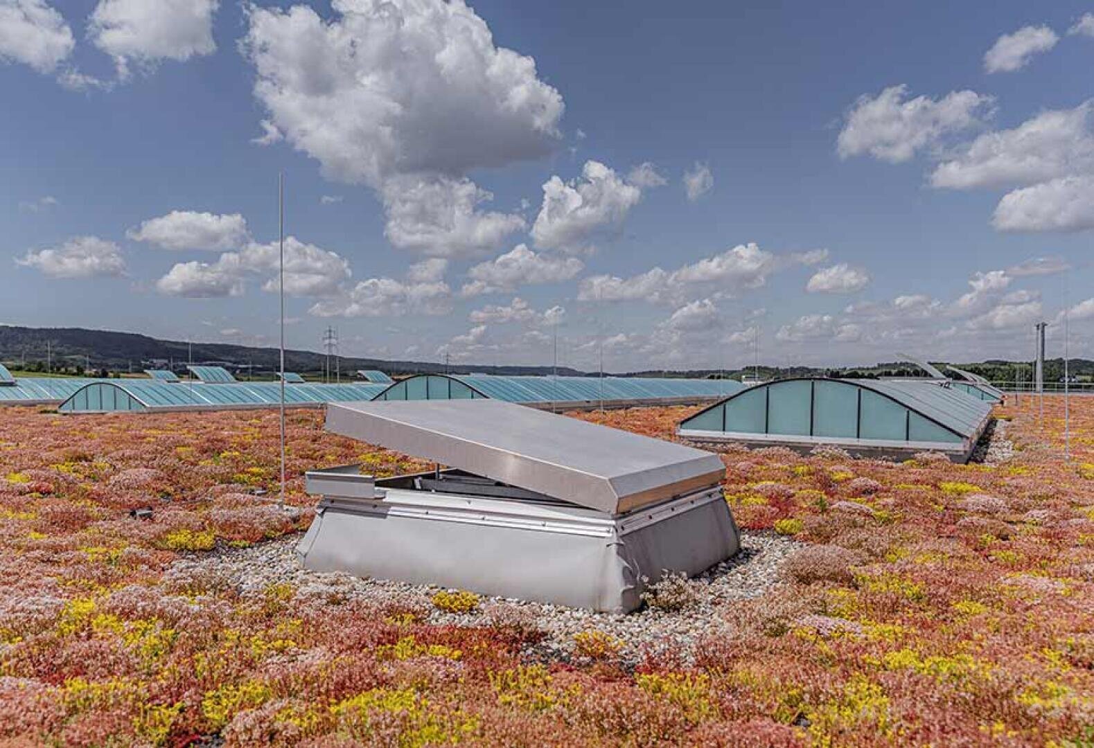 Ein grünes, mit bunten, niedrig wachsenden Pflanzen bewachsenes Dach und eine metallene Lüftungsstruktur in der Mitte, mit mehreren gläsernen Oberlichtern im Hintergrund unter einem blauen Himmel mit vereinzelten Wolken.