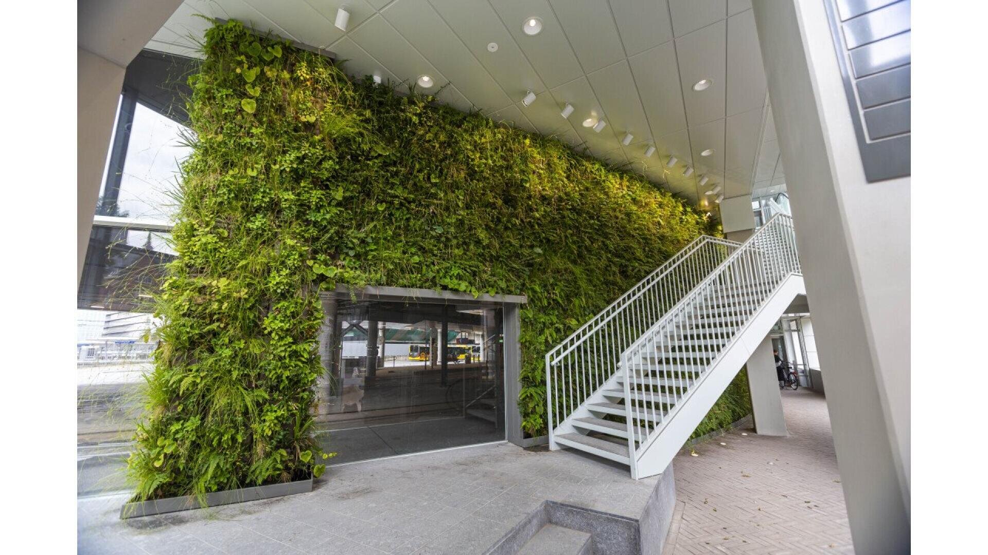 A large vertical garden covers a wall next to a glass entrance and a white staircase in a modern building with a gray tiled floor and ceiling lights.
