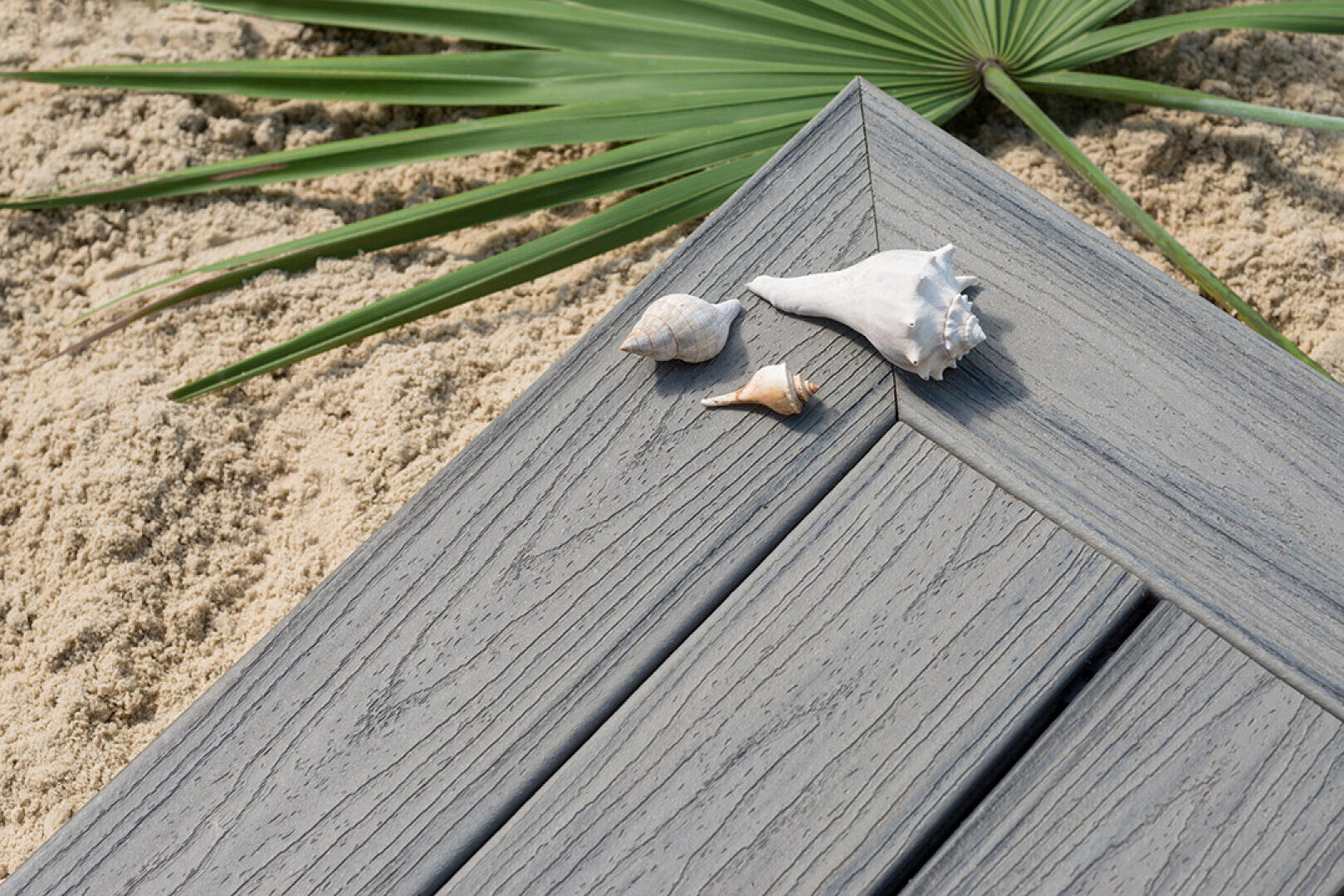 Drei Muscheln liegen auf grauen Holzbrettern in der Nähe von Sand und einem grünen Palmblatt und suggerieren eine Strand- oder Küstenszene.