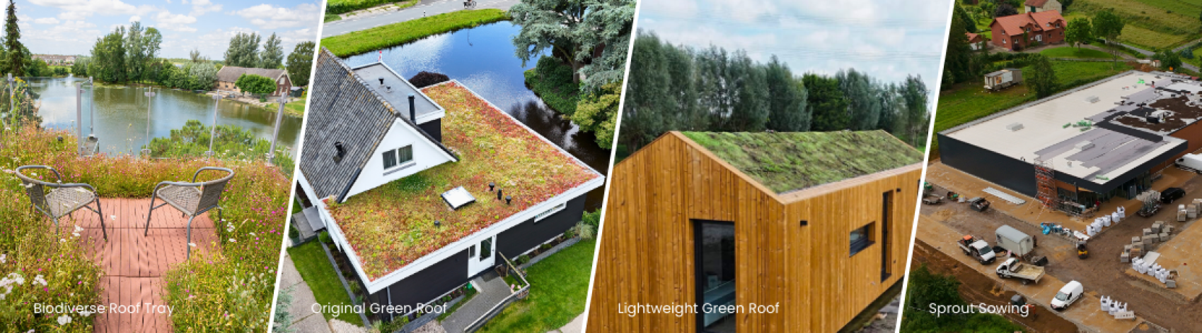 Four types of green roofs are shown: a rooftop garden by a pond, a residential roof with plants, a sloped wooden building with greenery, and a large industrial roof with vegetation being sown.